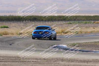 media/Oct-04-2025-OnGrid (Sat) [[44bd565ffa]]/Purple Group/Grapevine/